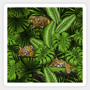 Jungle kitties Sticker